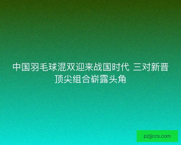 中国羽毛球混双迎来战国时代 三对新晋顶尖组合崭露头角