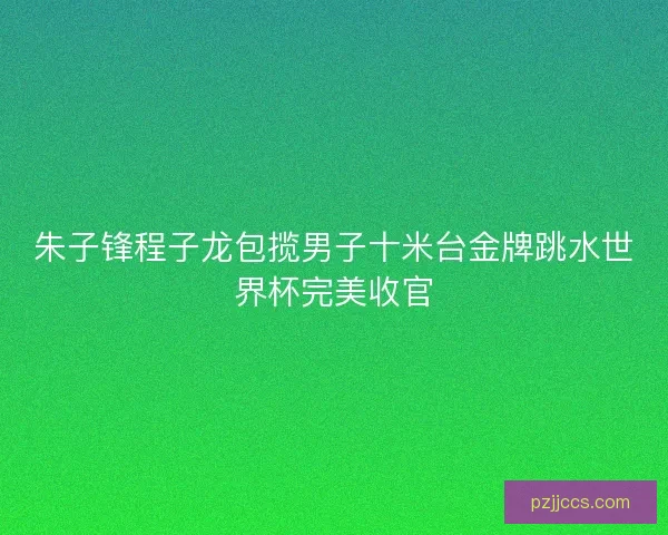 朱子锋程子龙包揽男子十米台金牌跳水世界杯完美收官